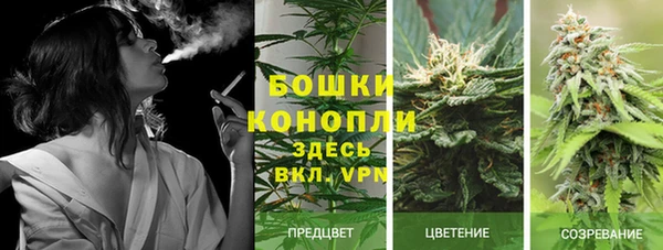 стафф Краснотурьинск