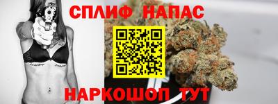 дурь Гай