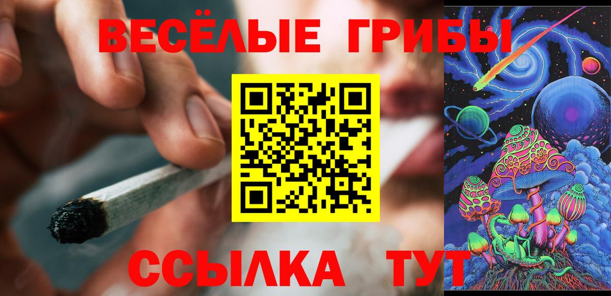 Галлюциногенные грибы мухоморы  купить наркоту  Улан-Удэ 